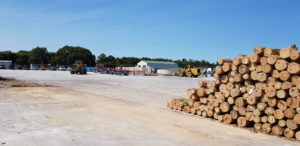 Large concrete log loading bay